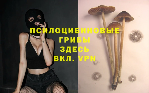 спиды Заводоуковск