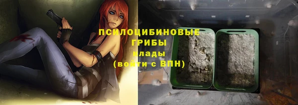 спиды Заводоуковск